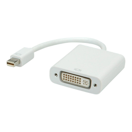 ROLINE DVI-Adapter - Mini DisplayPort (M) Produktbild