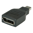ROLINE DisplayPort-Adapter - DisplayPort (W) Produktbild