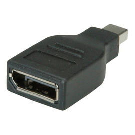 ROLINE DisplayPort-Adapter - DisplayPort (W) Produktbild