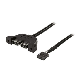 ASRock Deskmini 2x USB 2.0 Cable Produktbild