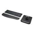 Kensington ErgoSoft Wrist Rest - Mauspad - Schwarz Produktbild Additional View 1 S