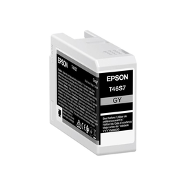 Epson T46S7 - 25 ml - Grau - original - Tintenpatrone Produktbild