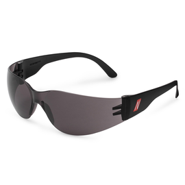 Nitras Schutzbrille VISION PROTECT BASIC 9001 / dunkle Scheiben Produktbild