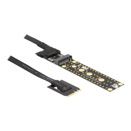 Delock Riser Card Produktbild