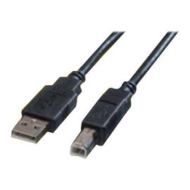 ROTRONIC-SECOMP Roline Green - USB-Kabel - USB (M) zu USB Typ B (M) Produktbild