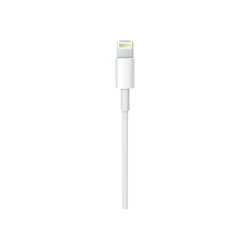 Apple USB-C to Lightning Cable - Lightning-Kabel Produktbild Additional View 2 L