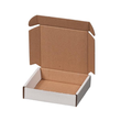Maxibriefkarton Gr. 1 weiß 160x113x42 mm / 1.20E Produktbild Additional View 1 S