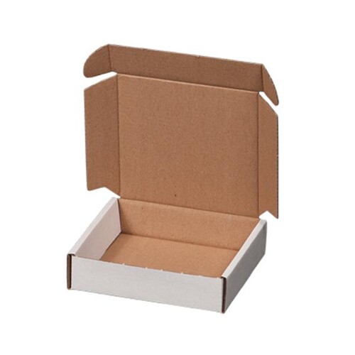 Maxibriefkarton Gr. 1 weiß 160x113x42 mm / 1.20E Produktbild Additional View 1 L