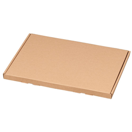 Großbriefkarton 345x245x17 mm / braun Produktbild