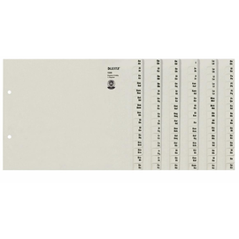 Registerserie A4 halbe Höhe überbreit A-Z 240x200mm für 8 Ordner grau Papier Leitz 1308-00-85 Produktbild