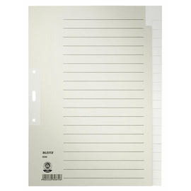 Register Blanko A4 223x300mm 20-teilig grau Papier Leitz 6096-00-85 Produktbild