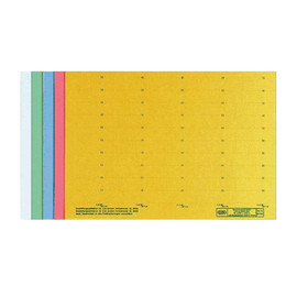 Blanko-Schildchen für Hängemappen 58x18mm grün Elba 100420976 (BG=50 STÜCK) Produktbild