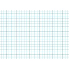 Karteikarten A5 kariert weiß holzfrei RNK 11485 (PACK=100 STÜCK) Produktbild
