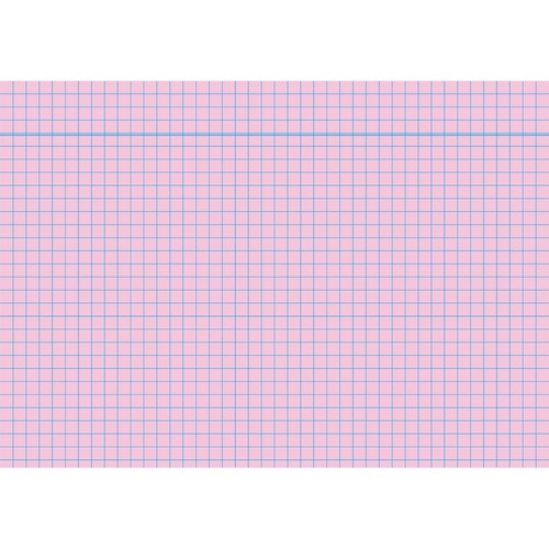 Karteikarten A6 kariert rosa holzfrei RNK 11486 (PACK=100 STÜCK) Produktbild Front View L