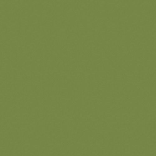 Servietten Klassik Zelltuch 1/4 Falz 40x40cm / 4-lagig / leaf green / Duni (PACK=50 STÜCK) Produktbild Front View L