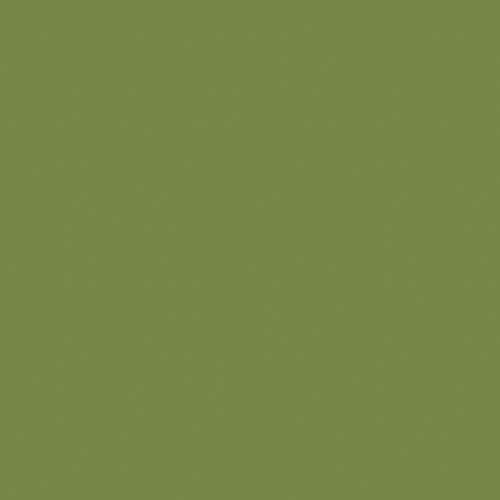 Servietten Zelltuch 1/4 Falz / 40x40cm / 3-lagig / leaf green / Duni (PACK=250 STÜCK) Produktbild Front View L