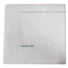 Servietten Fiberpack 1/4 Falz / 33x33cm / 2-lagig / Druck Logisch Öko (KTN=2700 STÜCK) Produktbild