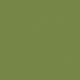 Servietten Zelltuch 1/4 Falz / 33x33cm / 3-lagig / leaf green / Duni (PACK=250 STÜCK) Produktbild