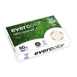Kopierpapier Evercolor Pastell A4 80g chamois recycling FSC Blauer Engel (PACK=500 BLATT) Produktbild