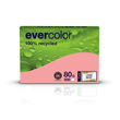 Kopierpapier Evercolor Pastell A4 80g rosa recycling FSC Blauer Engel (PACK=500 BLATT) Produktbild