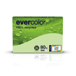 Kopierpapier Evercolor Pastell A4 80g hellgrün recycling FSC Blauer Engel (PACK=500 BLATT) Produktbild