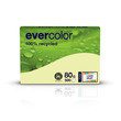 Kopierpapier Evercolor Pastell A4 80g hellgelb recycling (PACK=500 BLATT) Produktbild