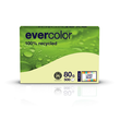 Kopierpapier Evercolor Pastell  A4 80g hellgelb recycling FSC Blauer Engel (PACK=500 BLATT) Produktbild