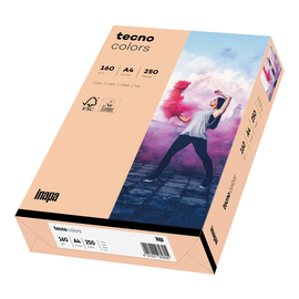 Kopierpapier tecno colors 40 A4 160g lachs Pastellfarben ECF FSC EU-Ecolabel (PACK=250 BLATT) Produktbild