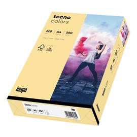 Kopierpapier tecno colors 06 A4 120g chamois Pastellfarben ECF FSC EU-Ecolabel (PACK=250 BLATT) Produktbild