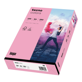 Kopierpapier tecno colors 55 A4 120g rosa Pastellfarben ECF FSC EU-Ecolabel (PACK=250 BLATT) Produktbild