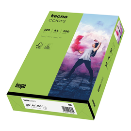 Kopierpapier tecno colors 76 A4 120g grün Intensivfarben ECF FSC EU-Ecolabel (PACK=250 BLATT) Produktbild