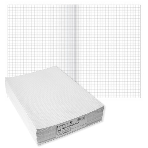 Kanzleipapier Lin.22 kariert ohne Rand A3/A4 80g weiß BestStandard (PACK=250 BOGEN) Produktbild