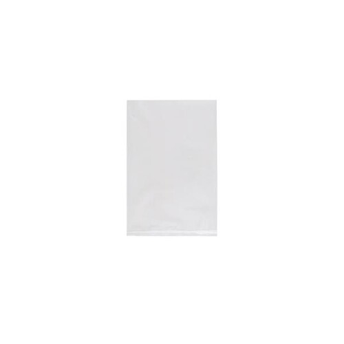 LDPE Flachbeutel transparent 200 x 300mm / 100µ (KTN=1000 STÜCK) Produktbild Front View L