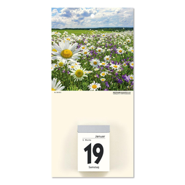 Bildrückwand für Tagesabreißkalender 301+302 Blumenmotiv Zettler 342-0001 Produktbild